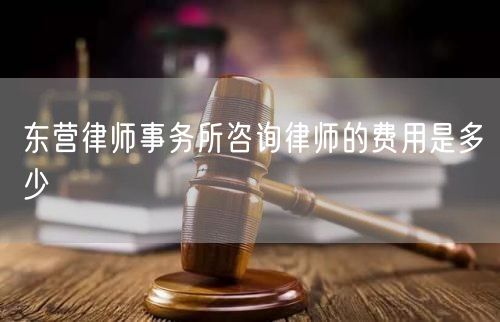 東營律師事務(wù)所咨詢律師的費用是多少
