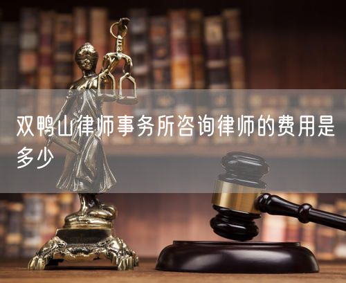 雙鴨山律師事務(wù)所咨詢律師的費(fèi)用是多少