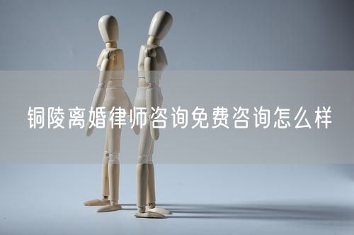 銅陵離婚律師咨詢免費(fèi)咨詢怎么樣
