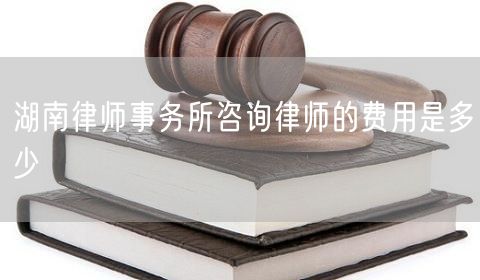 湖南律師事務(wù)所咨詢律師的費用是多少