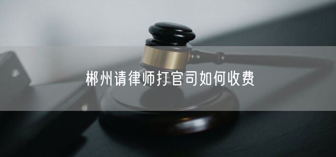 郴州請律師打官司如何收費