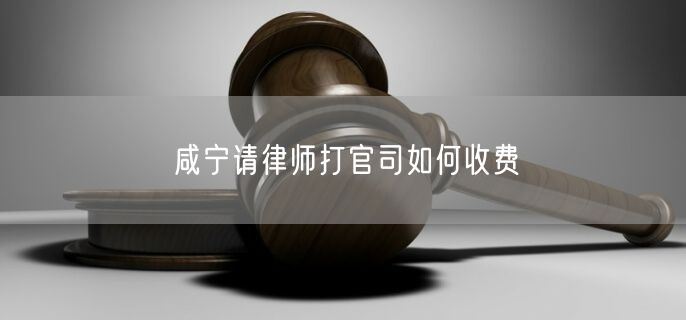 咸寧請(qǐng)律師打官司如何收費(fèi)