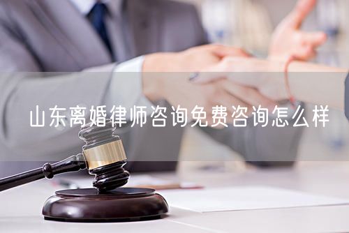 山東離婚律師咨詢免費(fèi)咨詢怎么樣