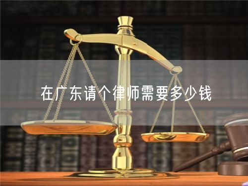 在廣東請個(gè)律師需要多少錢
